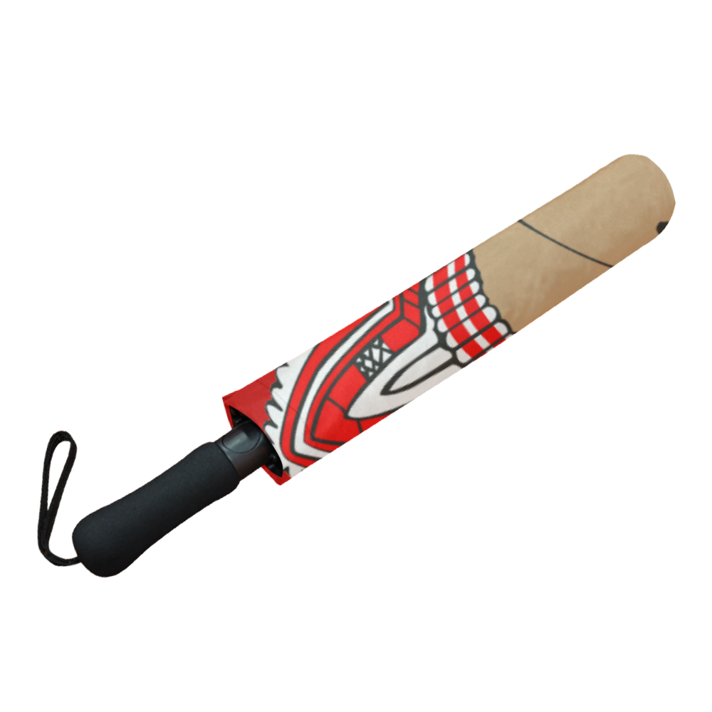 Delta Sigma Theta Sorority Afro Umbrella
