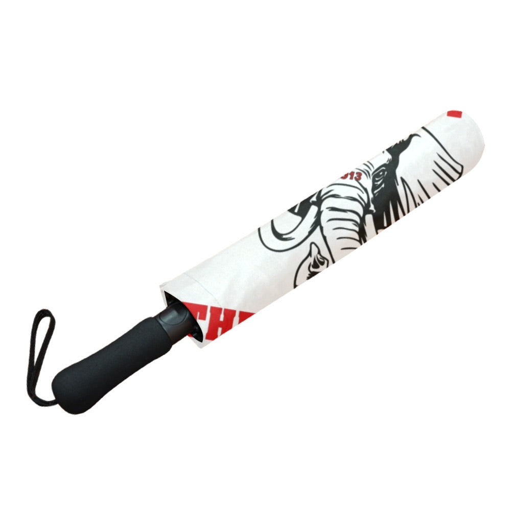 Respect The Dynasty DST Umbrella
